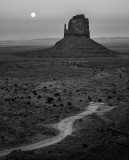 Moonlit Trail