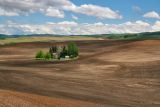 Fallow Fields of the Palouse