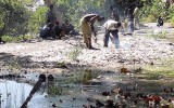 La mare aux silures sacrs de Dafra. Le sol est jonch des plumes blanches des poules sacrifies  Dafra, Burkina Faso