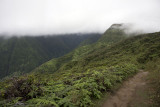 Hiking into the clouds