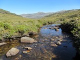 Cascade Trail - NSW