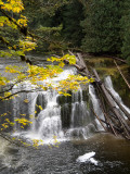 Lower Falls of the Lewis River