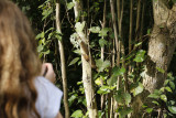 J and palm squirrel.jpg