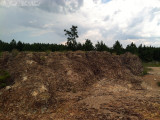Altamaha Grit shelf