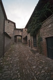 IMG_1932.jpg
