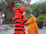 MagicalBeginnings50.jpg