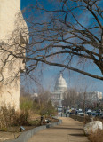 American Indian Museum and the Capitol