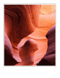 *Desert Sphinx*