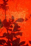 Shadows On The Wall