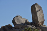 DSC_9648.jpg
