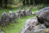 Megalithic tombe, Dolmen, Hunebed D20, Drouwen Zuid, Drenthe Netherlands