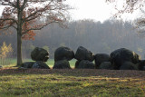Megalithic tombe, Dolmen, Hunebed D14 Eexterhalte #2, Drenthe Netherlands