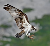 DSC_990140b.jpg