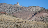 DSC_8488a.jpg
