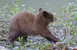 DSC_8724a.jpg