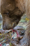 DSC_0161a.jpg
