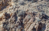 DSC_8227a.jpg