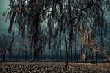 DSC00178.jpg