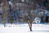 DSC00794.jpg