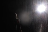 Rain Room Barbican Gallery.jpg