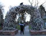 Jackson Hole Antler Arch