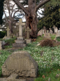 St  GILES CHURCHYARD ASHTEAD SURREY