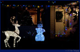 Christmas Lights