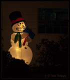 Frostys Friend
