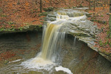 BLUE HEN FALLS IN WAKE OF SANDY