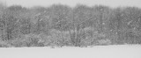 WINTER SNOW