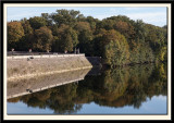 Looking upstream from the Chateau