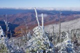 Snow and Fall Color 2