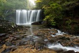 Brasstown Falls 5