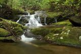 waterfall on Yellow Patch Branch