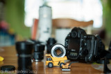 DSC07116 - A900 with 58mm 1.2 at F2.0.jpg