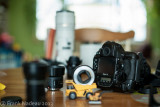 DSC07123 - A900 with 58mm 1.2 at F2.0.jpg