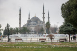 20130129_Istanbul_0025.jpg