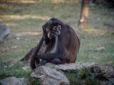 20130319_Xcaret_0155.jpg