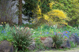 20130409_Stanley Park_0136.jpg