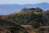 Vineyard on the Hill - Sonoma County, California
