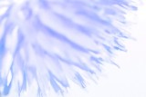 2012-11-04 17:01