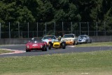 Ginetta, Lotus 7, Porsche, Volvo and Porsche