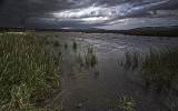 Calhoun Marsh , N.B.