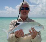 Blue-Fin Trevally