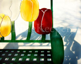 Dreaming of Spring 11x14.jpg