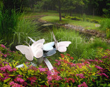 Garden Flight 11x14.jpg