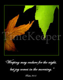 Psalm 30 weeping 11x14 sRGB.jpg