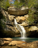 cedar falls vertical 11x14.jpg