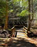 hocking footbridge 11x14.jpg