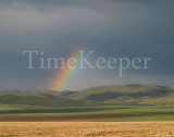 rainbow 11x14.jpg
